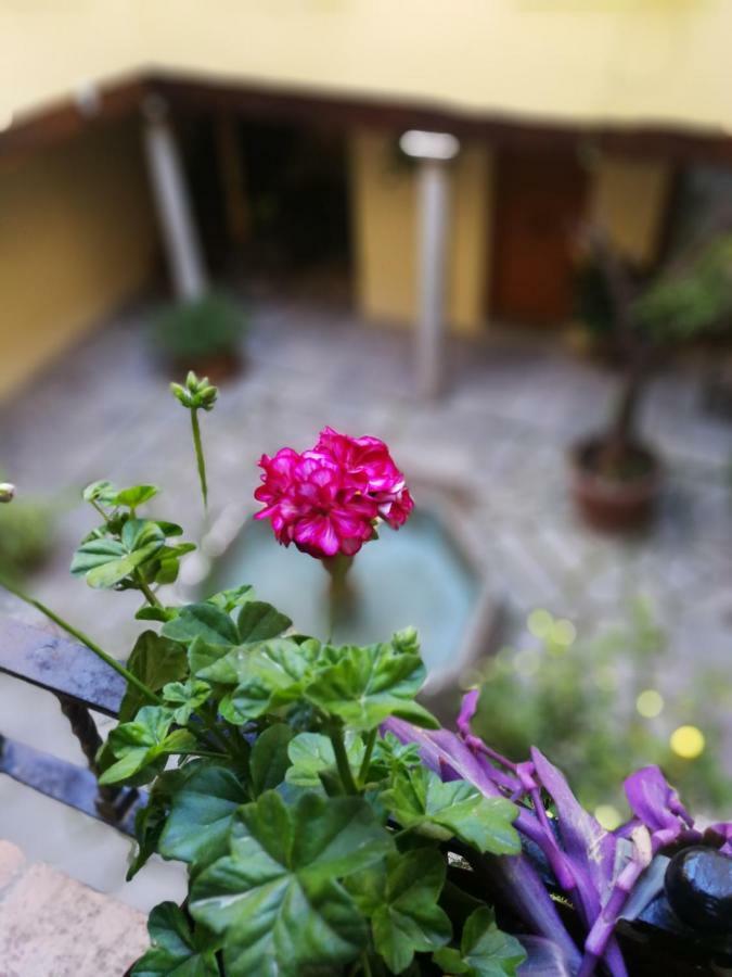 Alh Patio Apartamento Granada